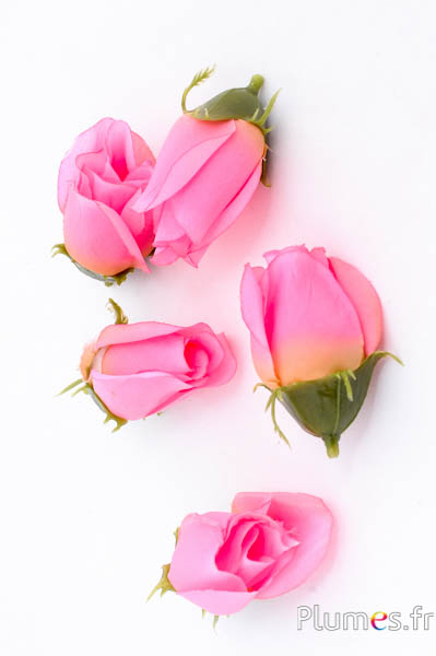 Tête de rose - 7 x 3 cm - rose