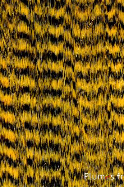 Extensions synthétiques - 40 cm, microtubes - curry