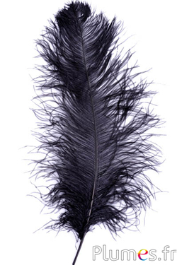 Boa en plumes d'autruche basique, noir, 1,80 m de long, 20g