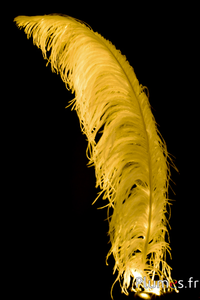 Autruche avec guirlande lumineuse- 65-70 cm - blanc 