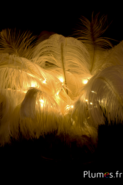 Guirlande avec lumière - long. 1 m - blanc-crème 